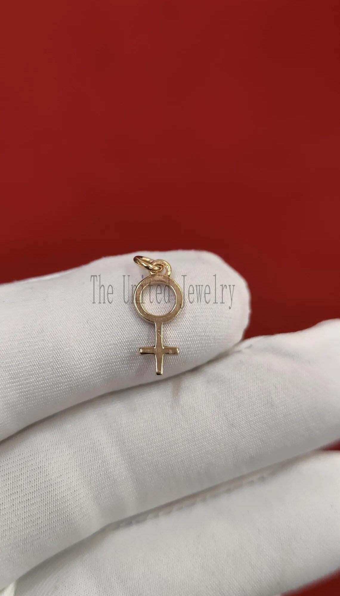 Gold Venus Symbol Pendant – Sterling Silver Feminist Charm