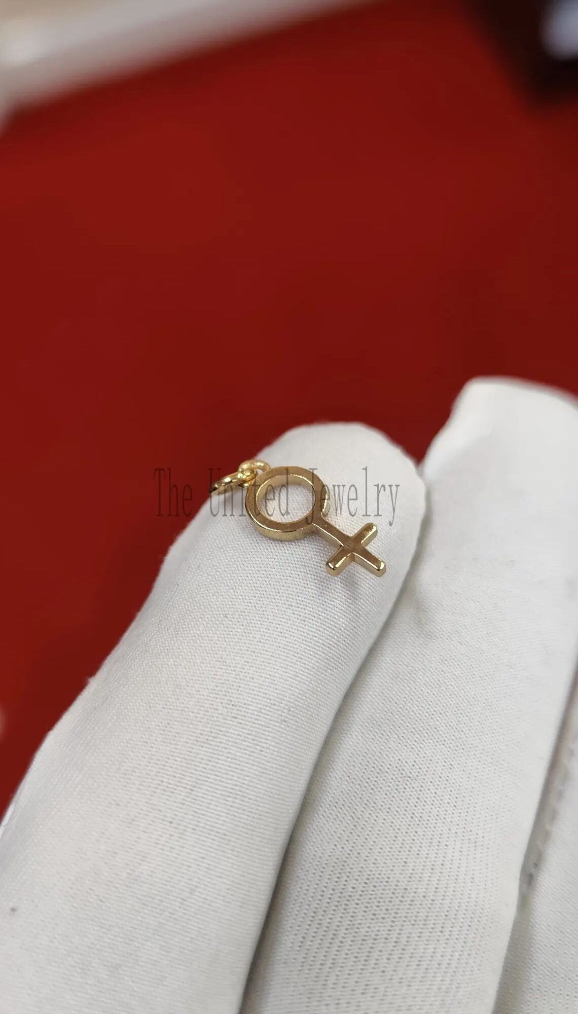 Gold Venus Symbol Pendant – Sterling Silver Feminist Charm