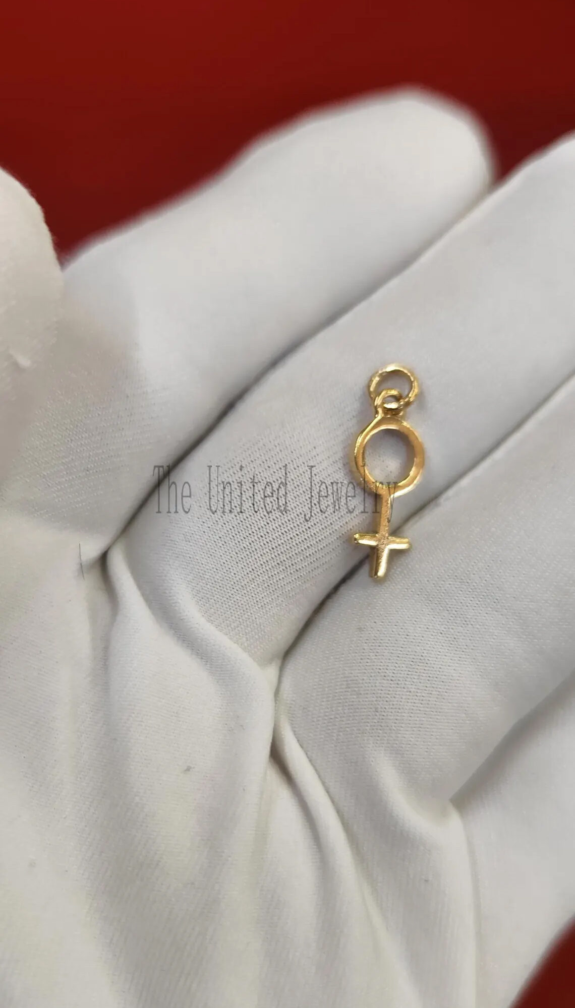 Gold Venus Symbol Pendant – Sterling Silver Feminist Charm