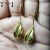 925 Sterling Silver Cowrie Designer Dangles Earrings For Women